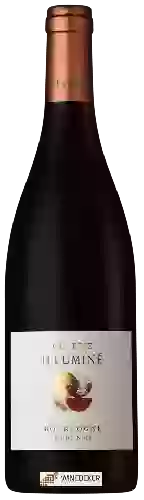 Domaine Boutinot - Genetie Illuminé Bourgogne Pinot Noir
