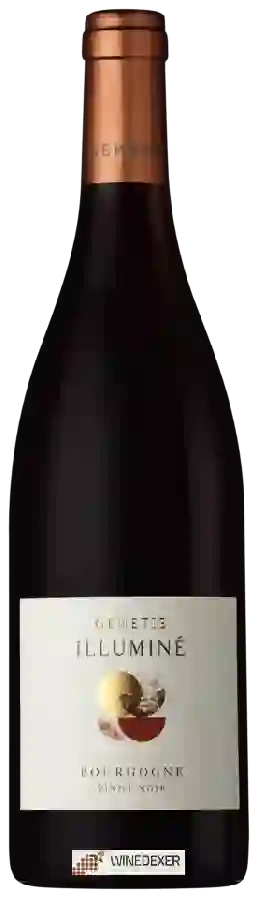 Domaine Boutinot - Genetie Illuminé Bourgogne Pinot Noir