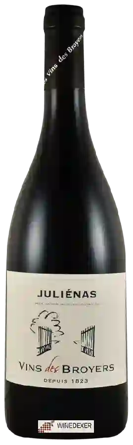 Domaine Broyers - Juliénas
