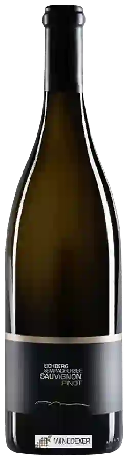 Domaine Brunner Weinmanufaktur - Eichberg Sempachersee Sauvignon - Pinot