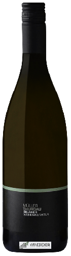 Domaine Brunner Weinmanufaktur - Müller Thurgau
