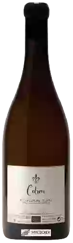 Domaine Bruno Dangin - Cotron Bourgogne Blanc