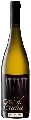 Domaine Cadia - Avni Chardonnay