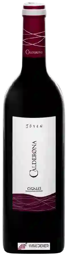 Domaine Calderona - Joven