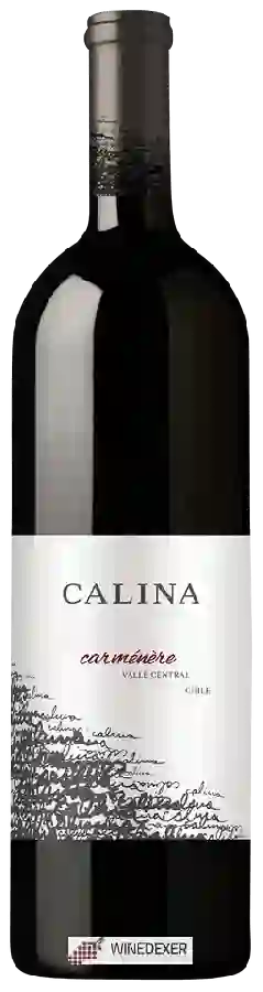 Domaine Calina - Carmenère