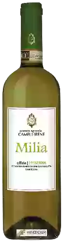 Winery Cameli Irene - Milia Passerina