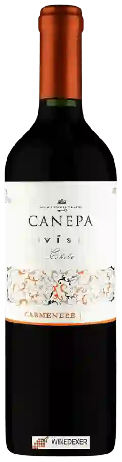 Domaine Canepa - Novísimo Carmenère