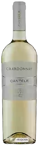 Domaine Cantele - Chardonnay