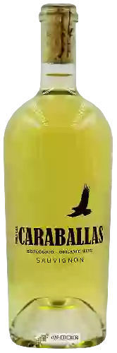 Winery Caraballas - Sauvignon Organic