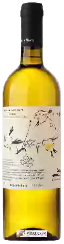 Domaine Casa di Monte