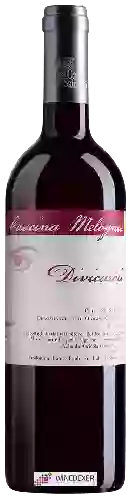 Domaine Cascina Melognis - Divicaroli Pelaverga