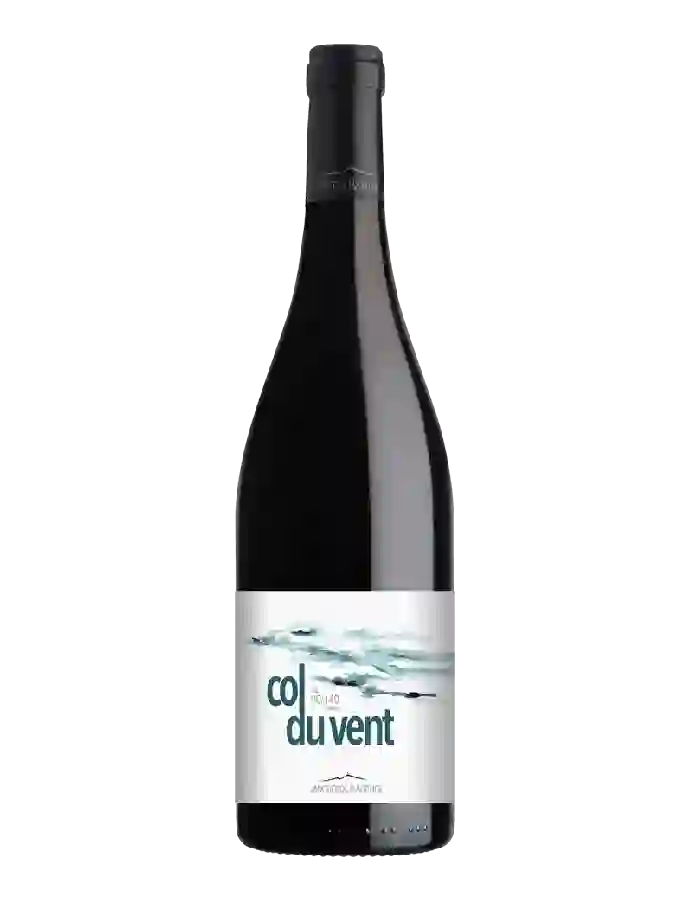 Domaine CastelBarry - Col du Vent Rouge