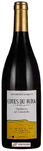 Domaine des Cavarodes - Chardonnay Côtes du Jura 'Les Lumachelles'