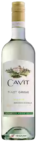 Domaine Cavit - Collection Pinot Grigio
