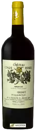 Château Coupe-Roses - Orience