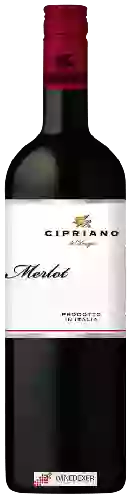 Winery Cipriano - Merlot