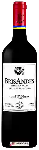 Domaine BrisAndes - Cabernet Sauvignon