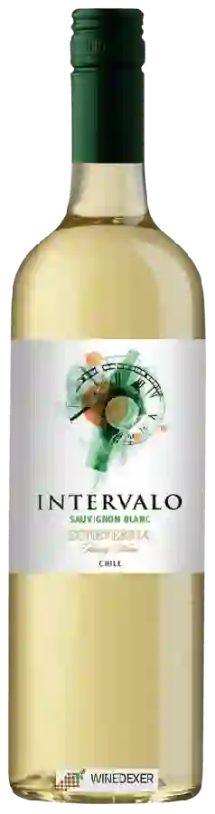 Domaine Echeverría - Intervalo Sauvignon Blanc