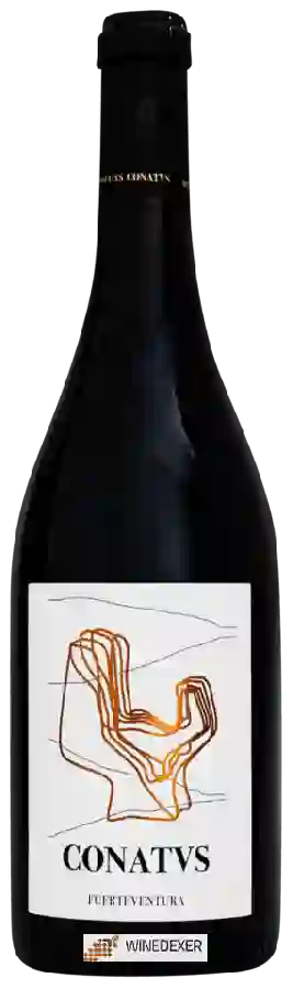 Domaine Conatvs - Conatvs Fuerteventura