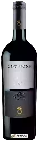 Winery Coppadoro - Cotinone