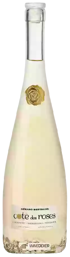 Domaine Côte des Roses - Côte des Roses Blanc Domaine Côte des Roses - Côte des Roses Blanc