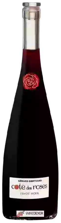 Domaine Côte des Roses - Côte des Roses Pinot Noir Domaine Côte des Roses - Côte des Roses Pinot Noir