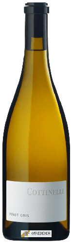 Domaine Weinbau Cottinelli - Malans Pinot Gris