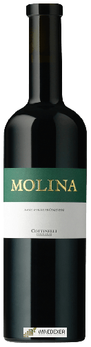 Domaine Weinbau Cottinelli - Molina