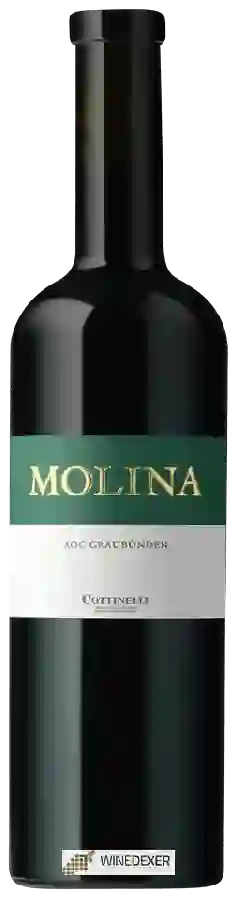Domaine Weinbau Cottinelli - Molina