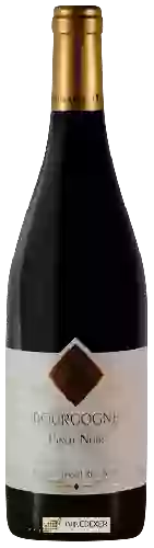 Domaine Daniel Rion & Fils - Bourgogne Pinot Noir
