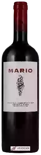Winery Vega Clara - Mario Tempranillo - Cabernet Sauvignon