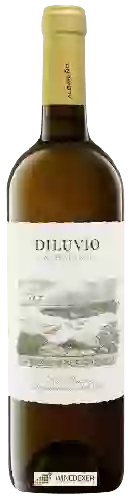 Winery Diluvio - Albariño