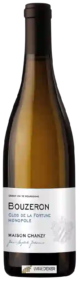 Domaine Chanzy - Bouzéron 'Clos de La Fortune Monopole'
