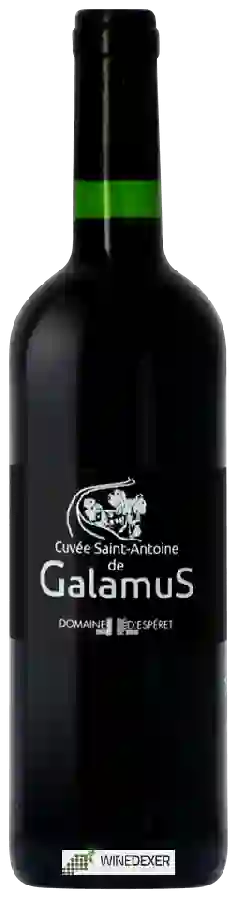 Domaine d'Esperet - Cuvée Saint-Antoine de Galamus