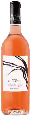 Domaine Grand Chêne - Péché de Vigne Gaillac Rosé