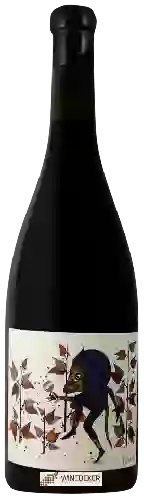 Domaine Les Salicaires Domaine Les Salicaires