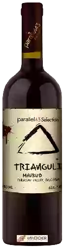 Domaine Parallel43 - Trianguli Mavrud