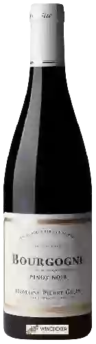 Domaine Pierre Gelin - Bourgogne Pinot Noir