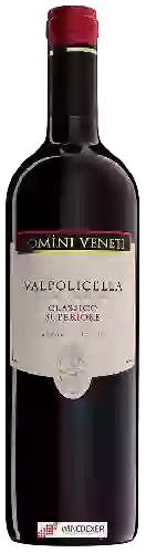 Domaine Domini Veneti - Valpolicella Classico Superiore