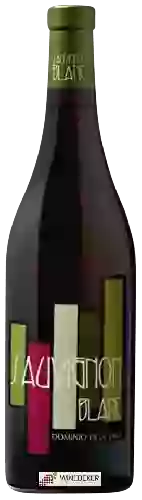 Winery Dominio de la Vega - Sauvignon Blanc
