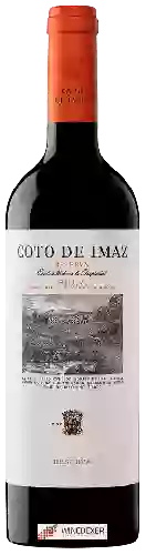 Domaine El Coto - Coto de Imaz Rioja Reserva