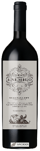 Winery El Enemigo - Gran Enemigo Single Vineyard Gualtallary Cabernet Franc