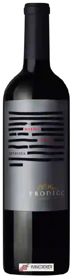 Domaine El Hijo Prodigo - Selección Malbec
