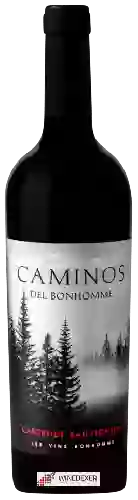 Domaine Les Vins Bonhomme - Caminos del Bonhomme Cabernet Sauvignon