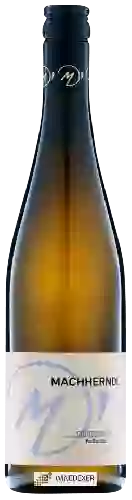 Weingut Machherndl - Chardonnay Kollmütz