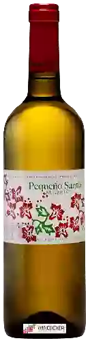 Bodega Benito Santos - Pequeño Santos Albarino