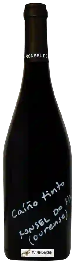 Bodegas Ronsel do Sil - Caiño Tinto