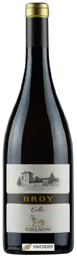 Domaine Collavini - Broy Collio Bianco