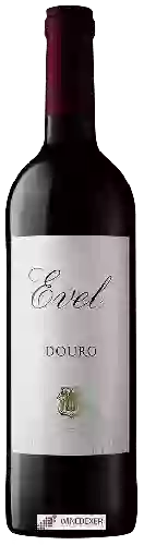 Domaine Evel - Douro Tinto