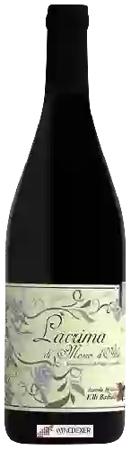 Domaine Azienda Agricola Fratelli Badiali - Lacrima di Morro d'Alba